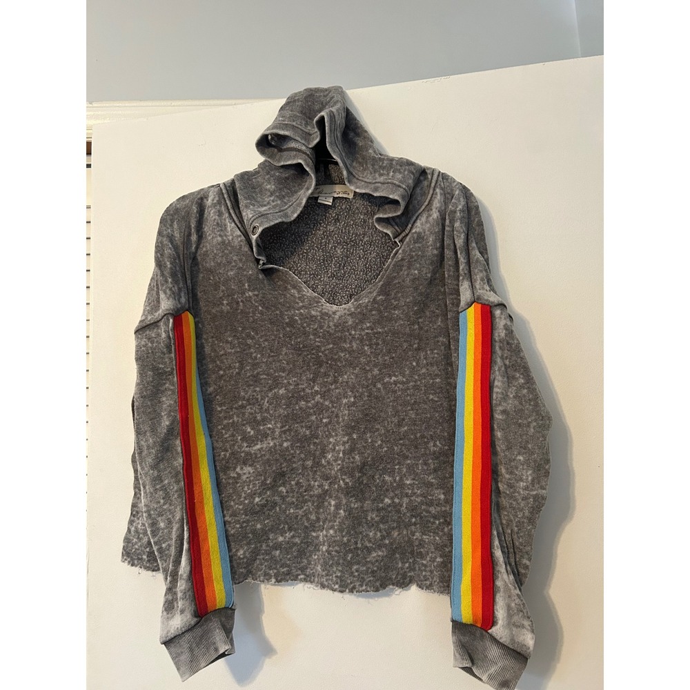 Vintage Havana Gray Acid Wash Rainbow Striped Hoodie Sweatshirt S crop cutoff